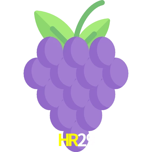HR29